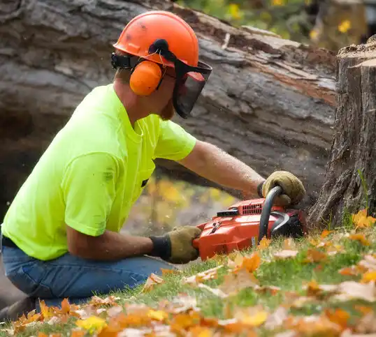 tree services Tularosa